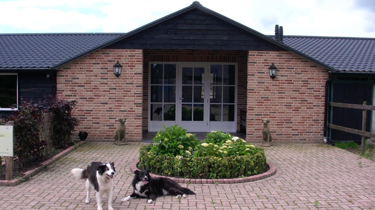 Bed and Breakfast De Turfstaeker à Ospel Extérieur photo